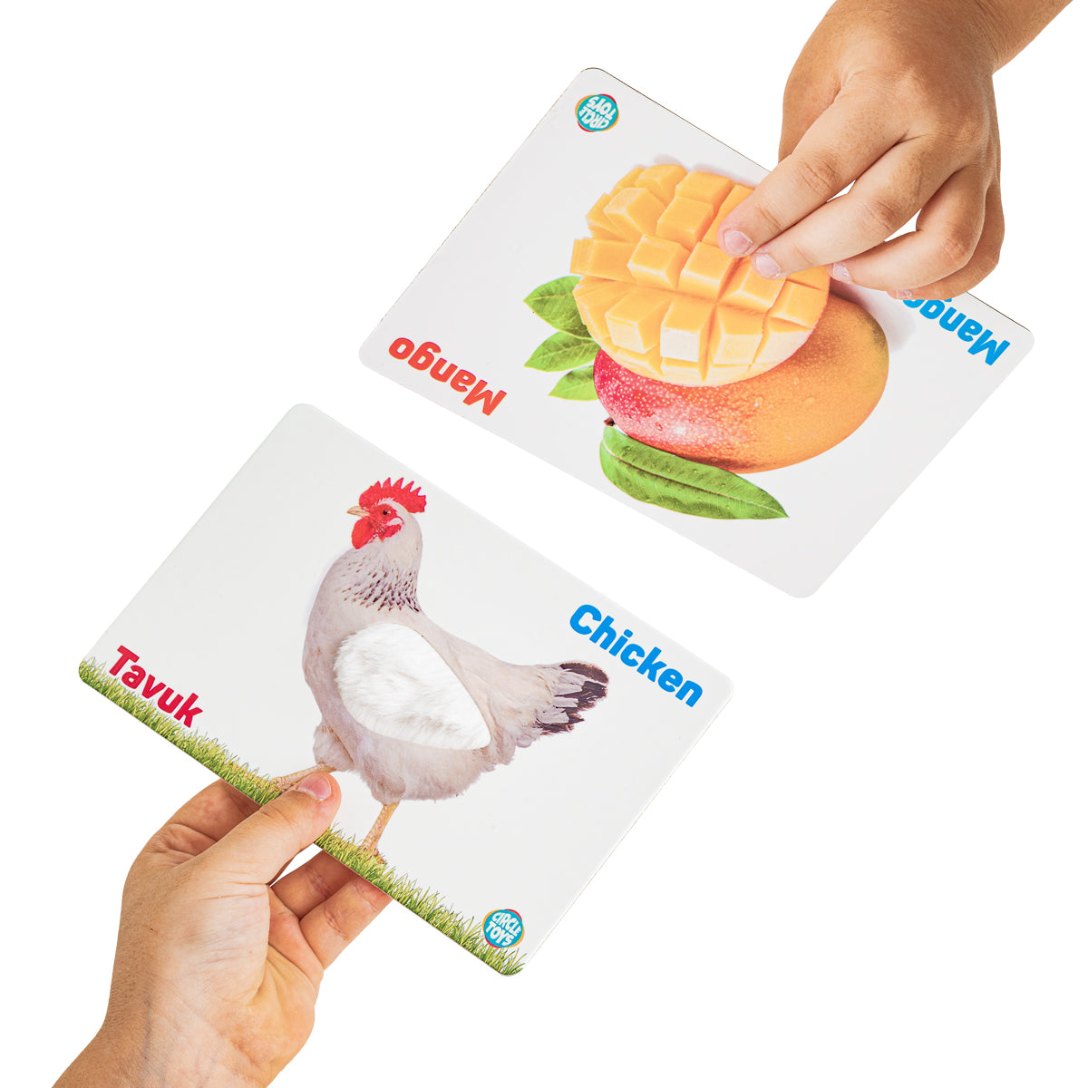 Circle Toys Dokun Hisset Tanı