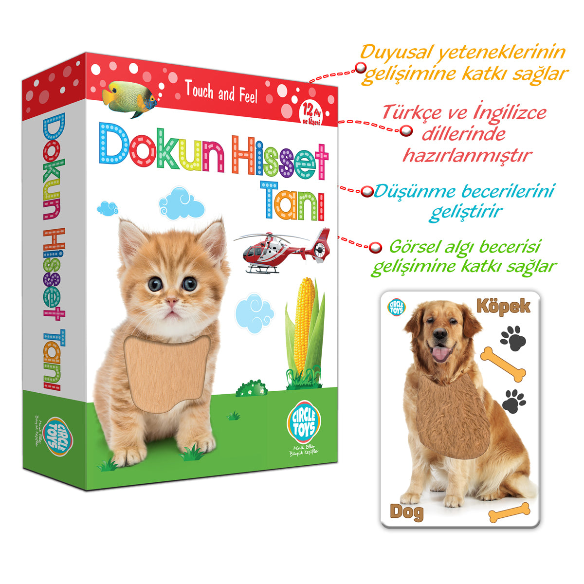 Circle Toys Dokun Hisset Tanı