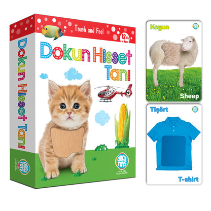 Circle Toys Dokun Hisset Tanı