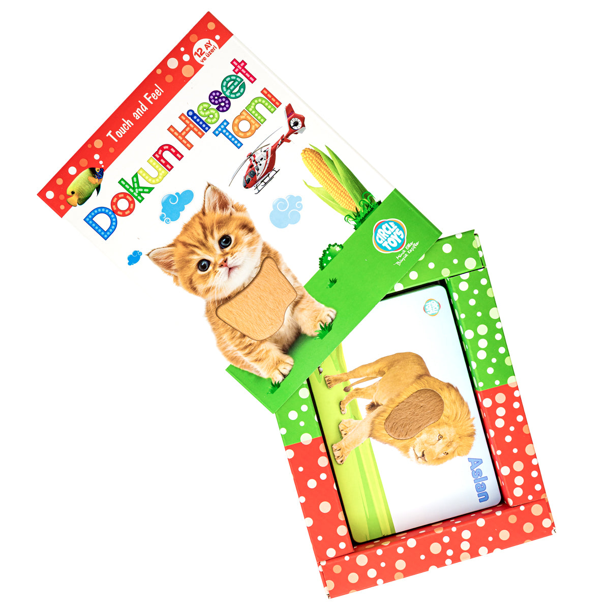 Circle Toys Dokun Hisset Tanı