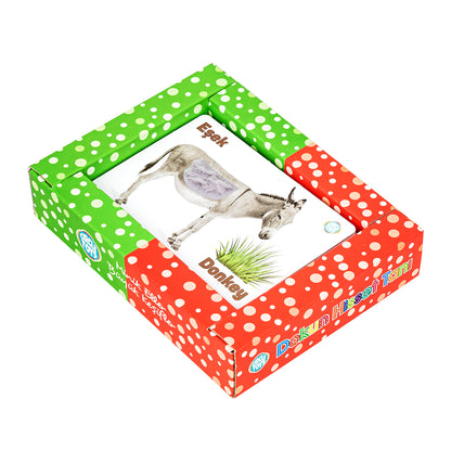 Circle Toys Dokun Hisset Tanı