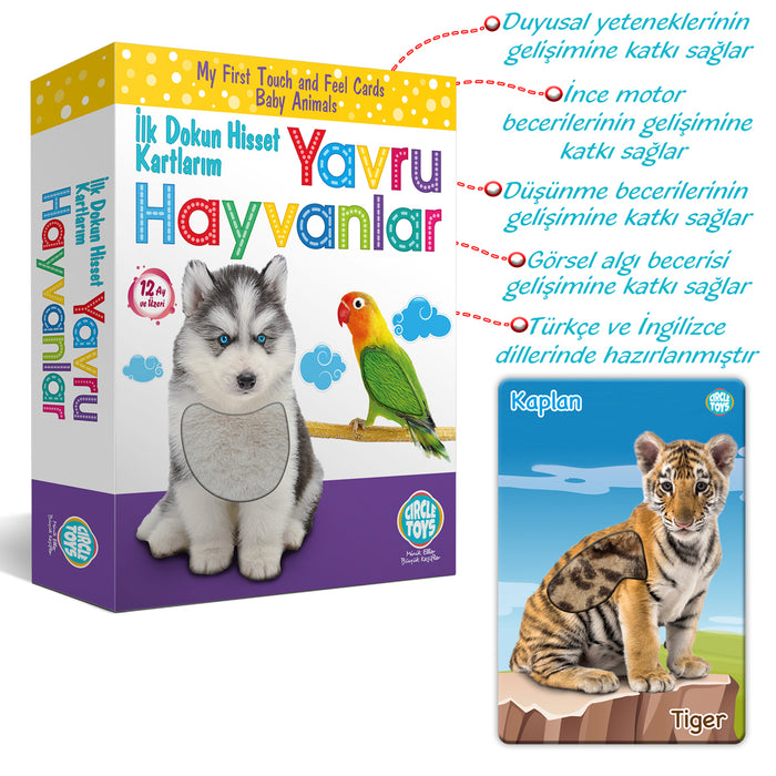 Circle Toys Dokun Hisset: Yavru Hayvanlar
