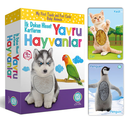 Circle Toys Dokun Hisset: Yavru Hayvanlar