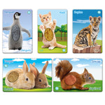 Circle Toys Dokun Hisset: Yavru Hayvanlar