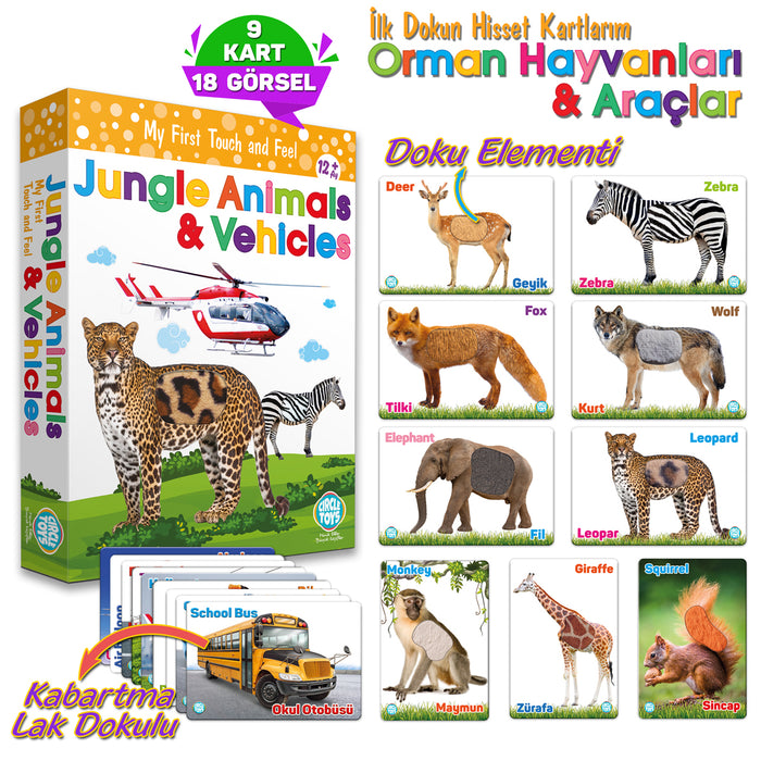 Circle Toys  Dokun Hisset Jungle Animals