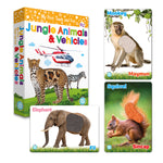 Circle Toys  Dokun Hisset Jungle Animals