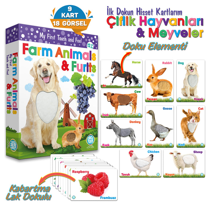 Circle Toys Dokun Hisset: Çiftlik Hayvanları ve Meyveler