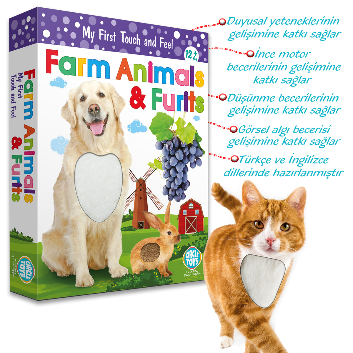 Circle Toys Dokun Hisset: Çiftlik Hayvanları ve Meyveler