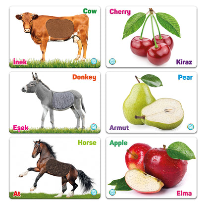 Circle Toys Dokun Hisset: Çiftlik Hayvanları ve Meyveler