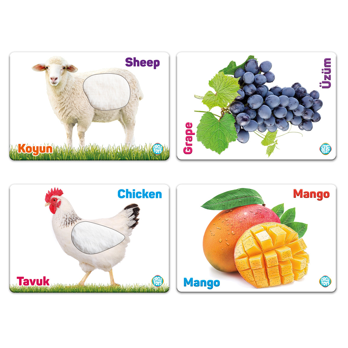 Circle Toys Dokun Hisset: Çiftlik Hayvanları ve Meyveler