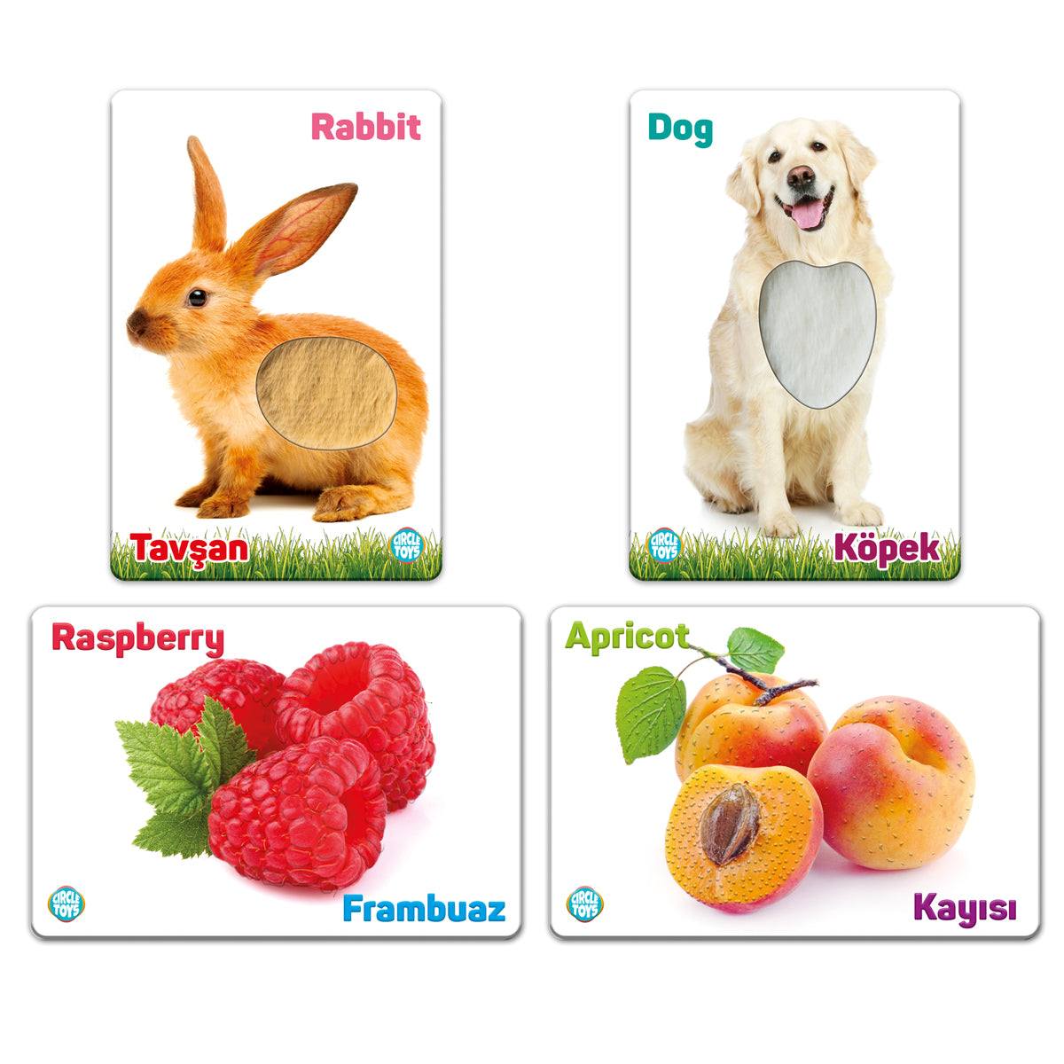 Circle Toys Dokun Hisset: Çiftlik Hayvanları ve Meyveler