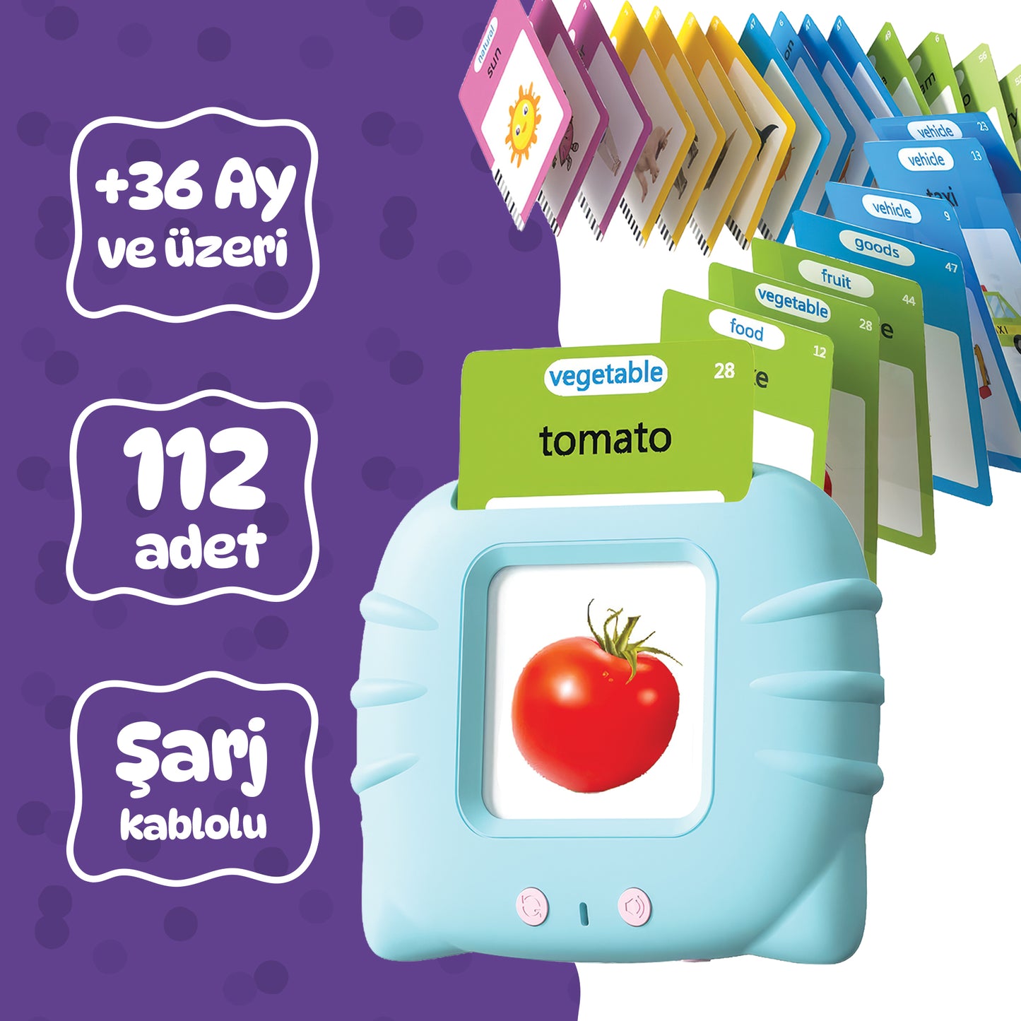 Circle Toys İngilizce Konuşan Sesli Flash Eğitim Kartları 224 Kart