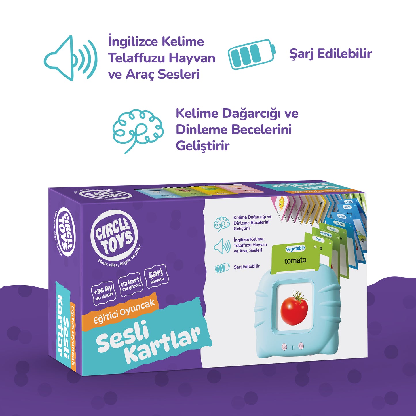 Circle Toys İngilizce Konuşan Sesli Flash Eğitim Kartları 224 Kart