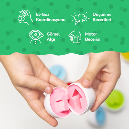 Circle Toys  10’lu Geometrik Yumurta