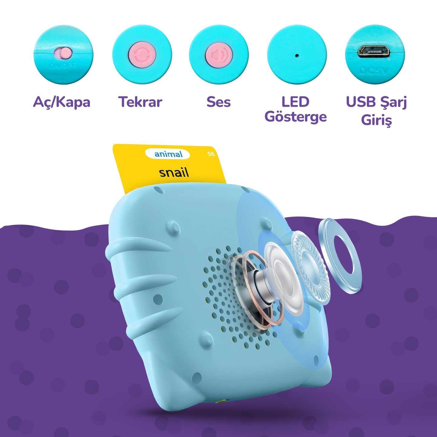 Circle Toys İngilizce Konuşan Sesli Flash Eğitim Kartları 224 Kart