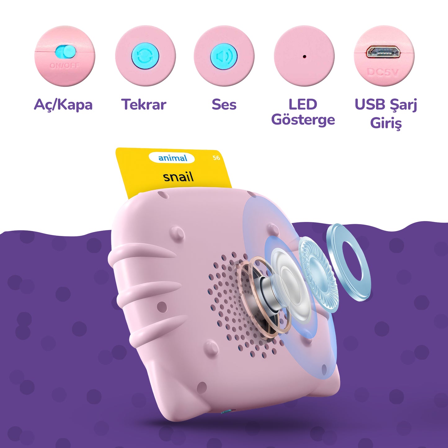 Circle Toys İngilizce Konuşan Sesli Flash Eğitim Kartları 224 Kart