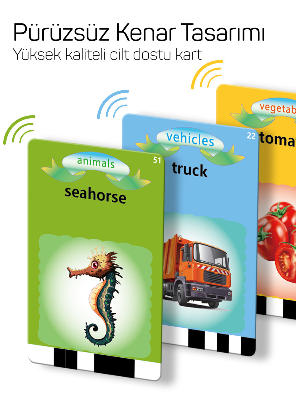 Circle Toys İngilizce Konuşan Sesli Flash Eğitim Kartları 224 Kart - Mavi