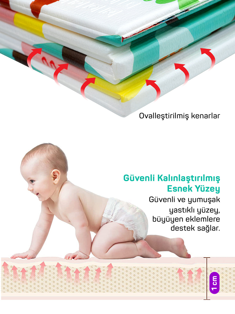 Circle Toys Animals + Taşıtlar, Katlanabilir Çocuk Oyun Halısı – Ekstra Large - 180X200X1 cm - Taşıma Çantası Yanında