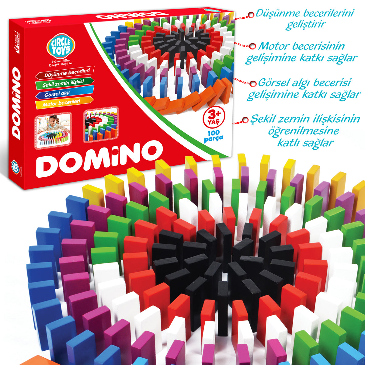 Circle Toys Domino