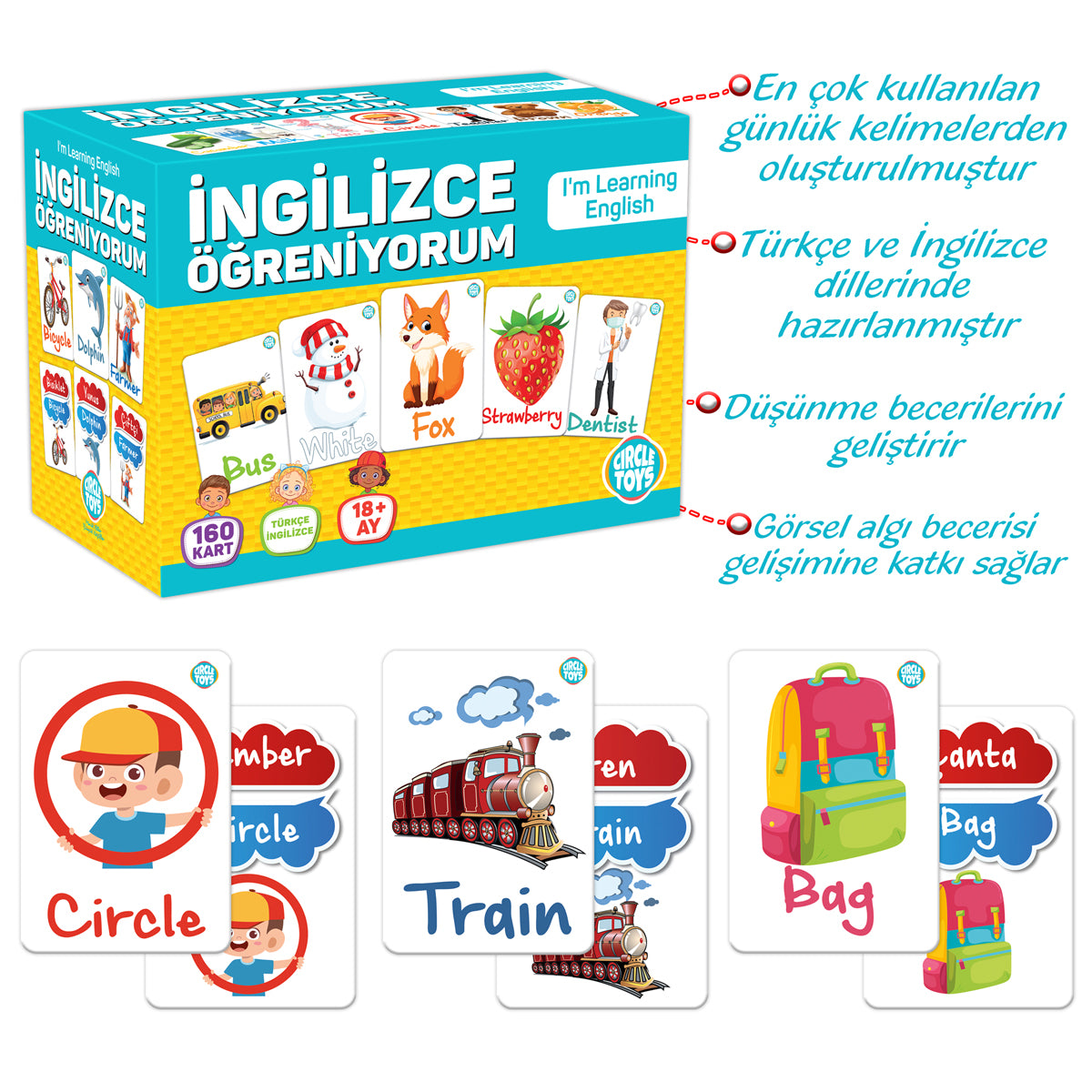 Circle Toys İngilizce Öğreniyorum