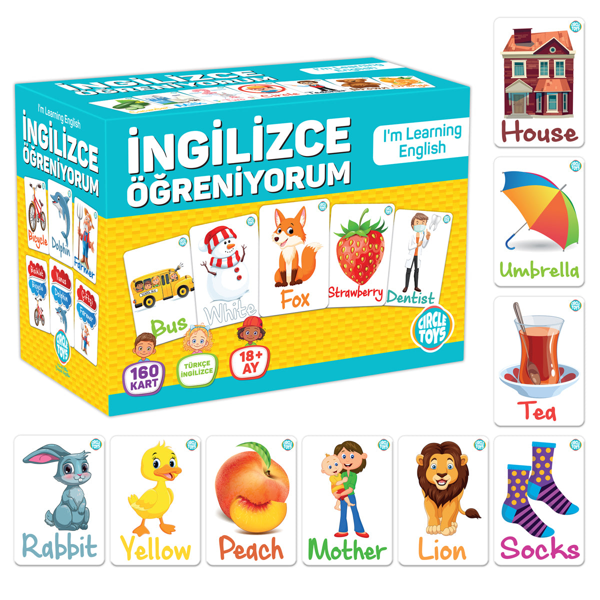 Circle Toys İngilizce Öğreniyorum